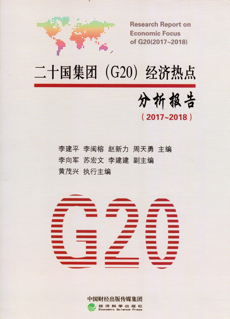 大逼操大屌二十国集团（G20）经济热点分析报告（2017-2018）